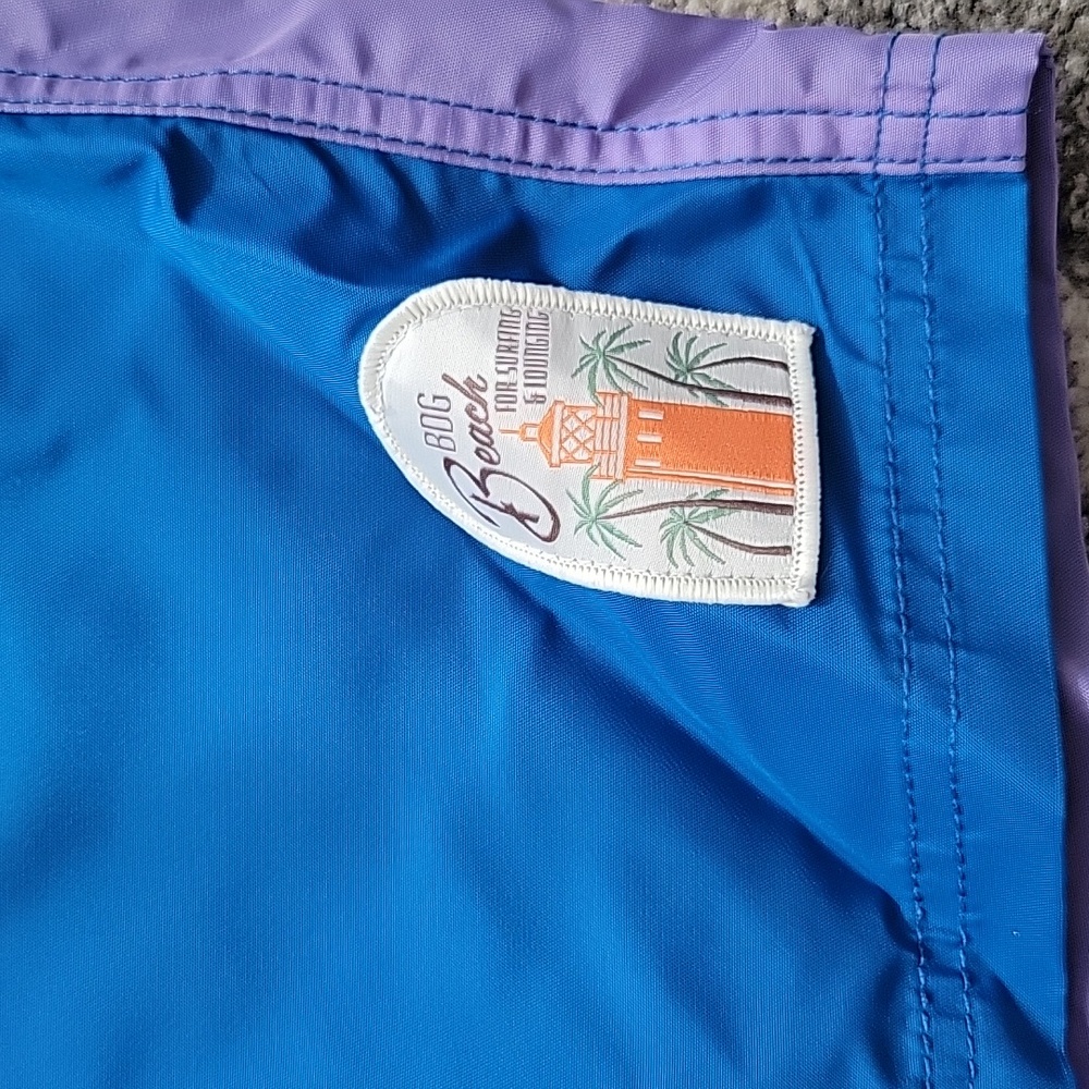BDG Colorblocked Swim Short - Picture 3 of 6